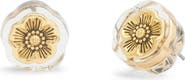 COACH Lucite Tea Rose Stud Earrings