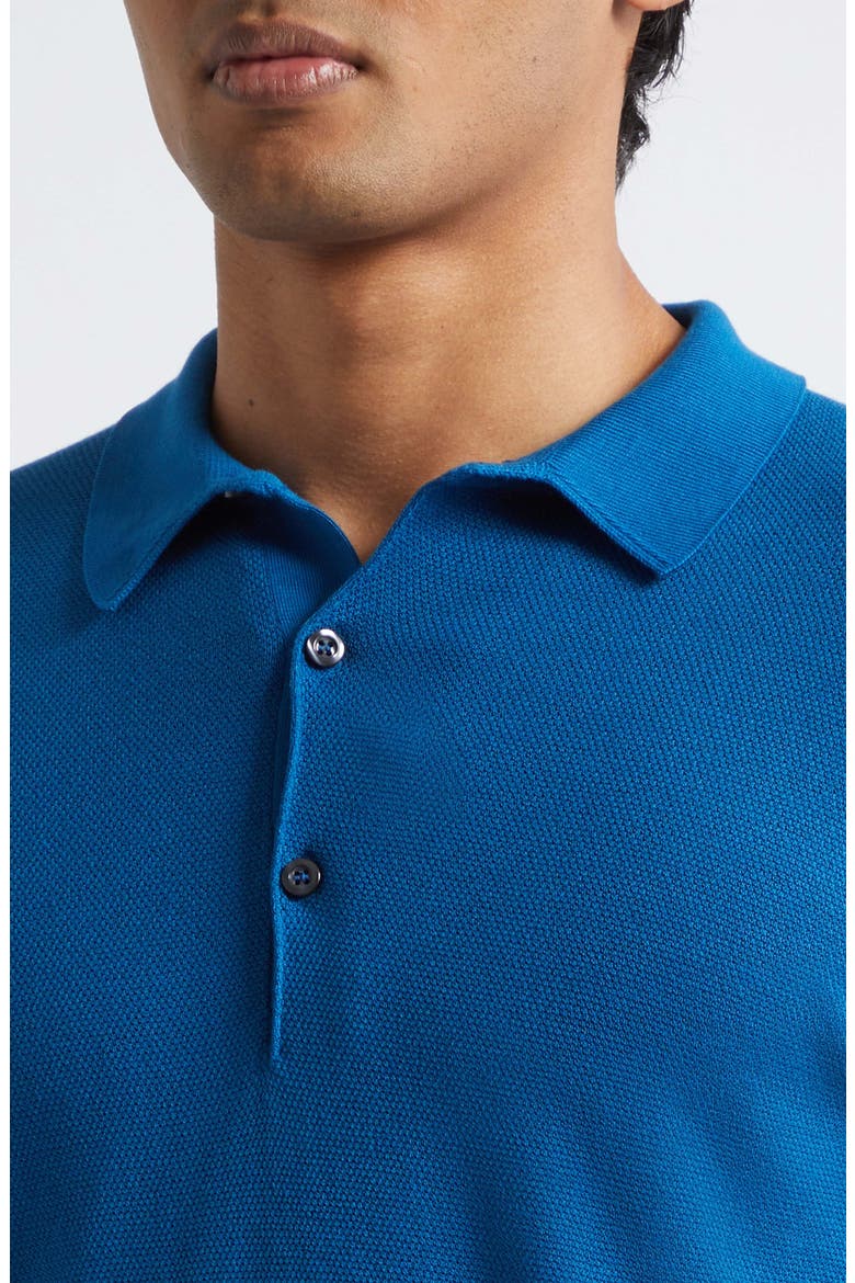Roth Solid Sweater Polo, Alternate, color, FJORD BLUE