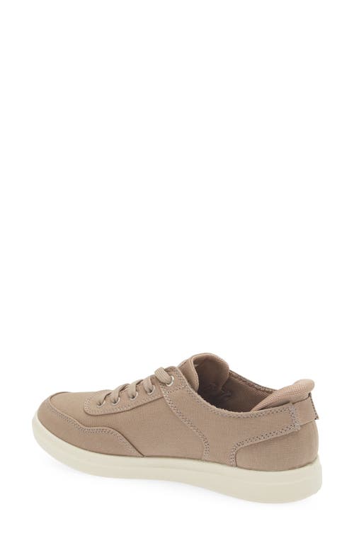 Skechers Slip-ins: Bobs D'vine Sneaker In Brown