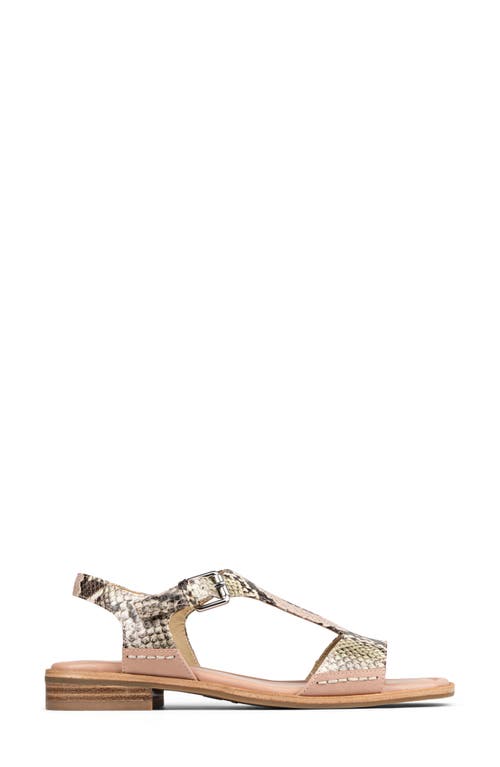 Donald Pliner Dria T-strap Sandal In Rosette