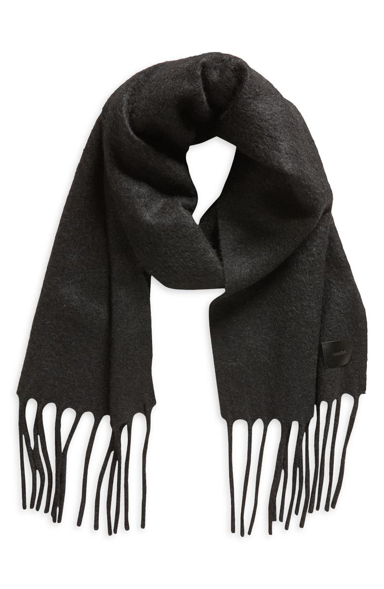 Vince Wool, Baby Alpaca & Silk Blend Fringe Scarf, Main, color, 