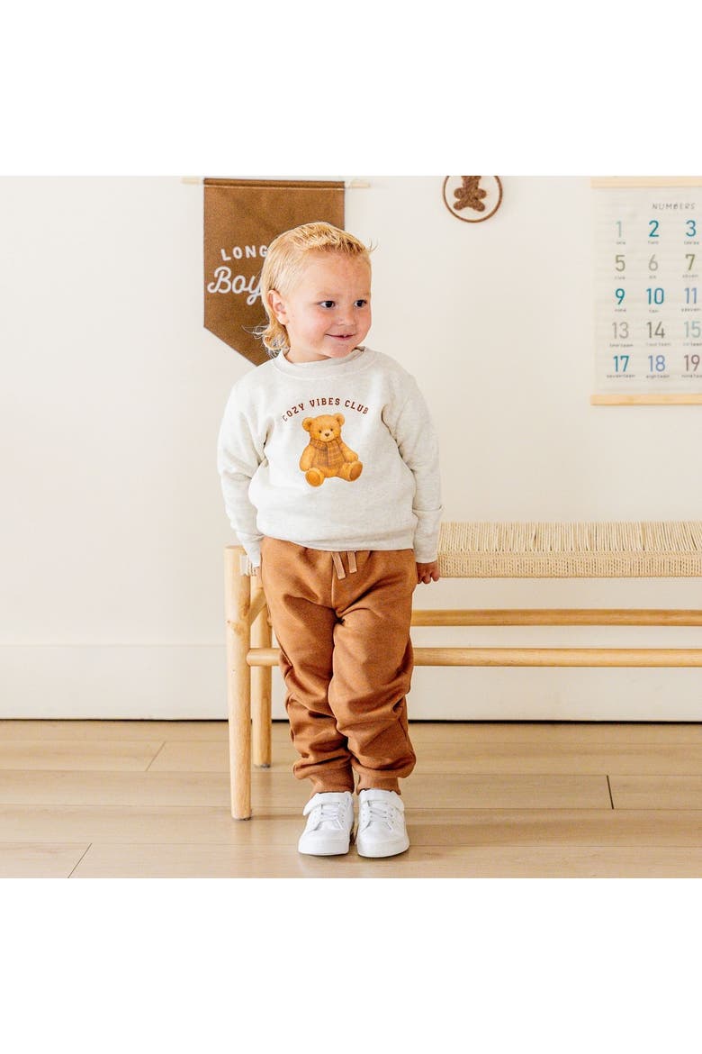 Cozy Teddy Sweatshirt, Alternate, color, Natural Heather