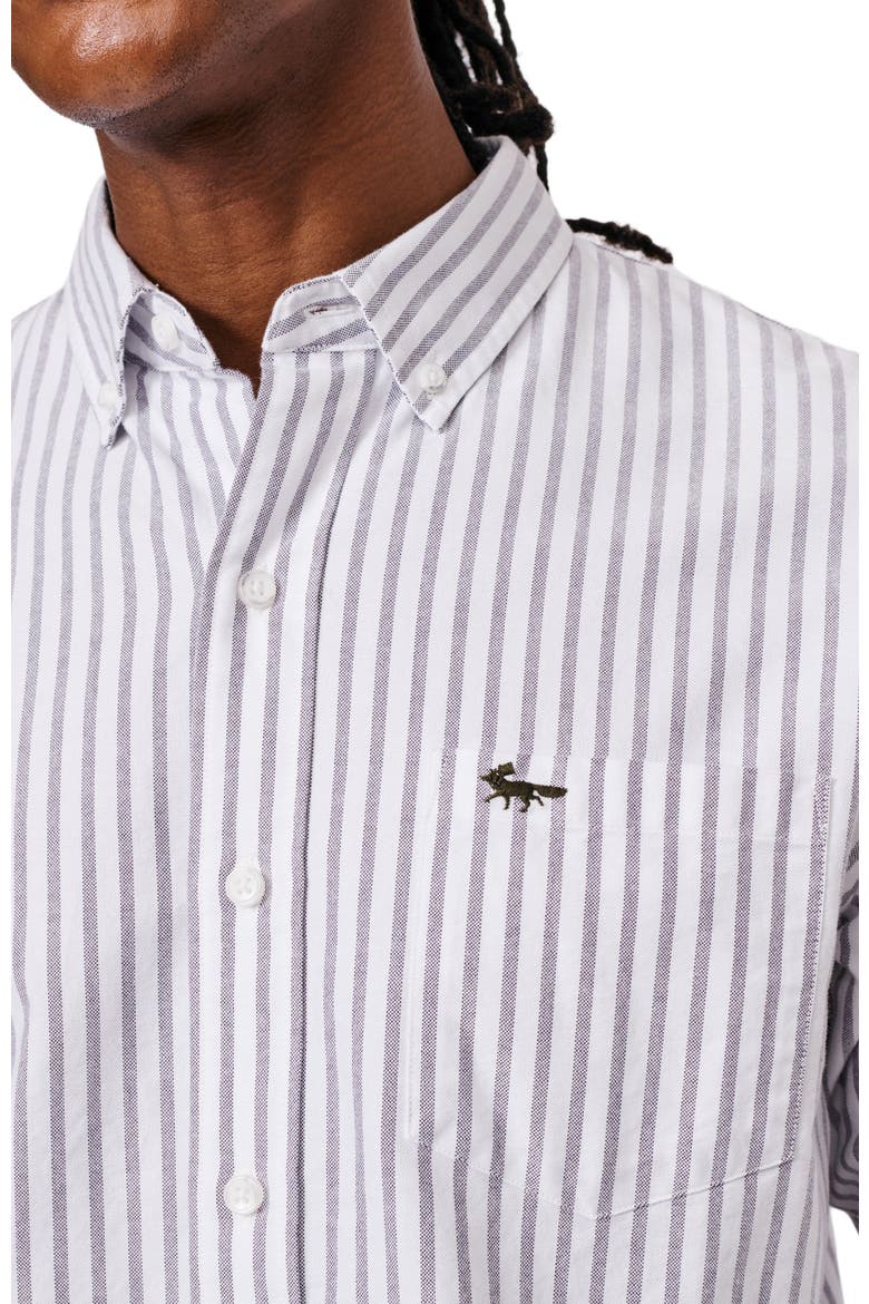 Aldridge Oxford Button Down Shirt, Alternate, color, Purple Stripe