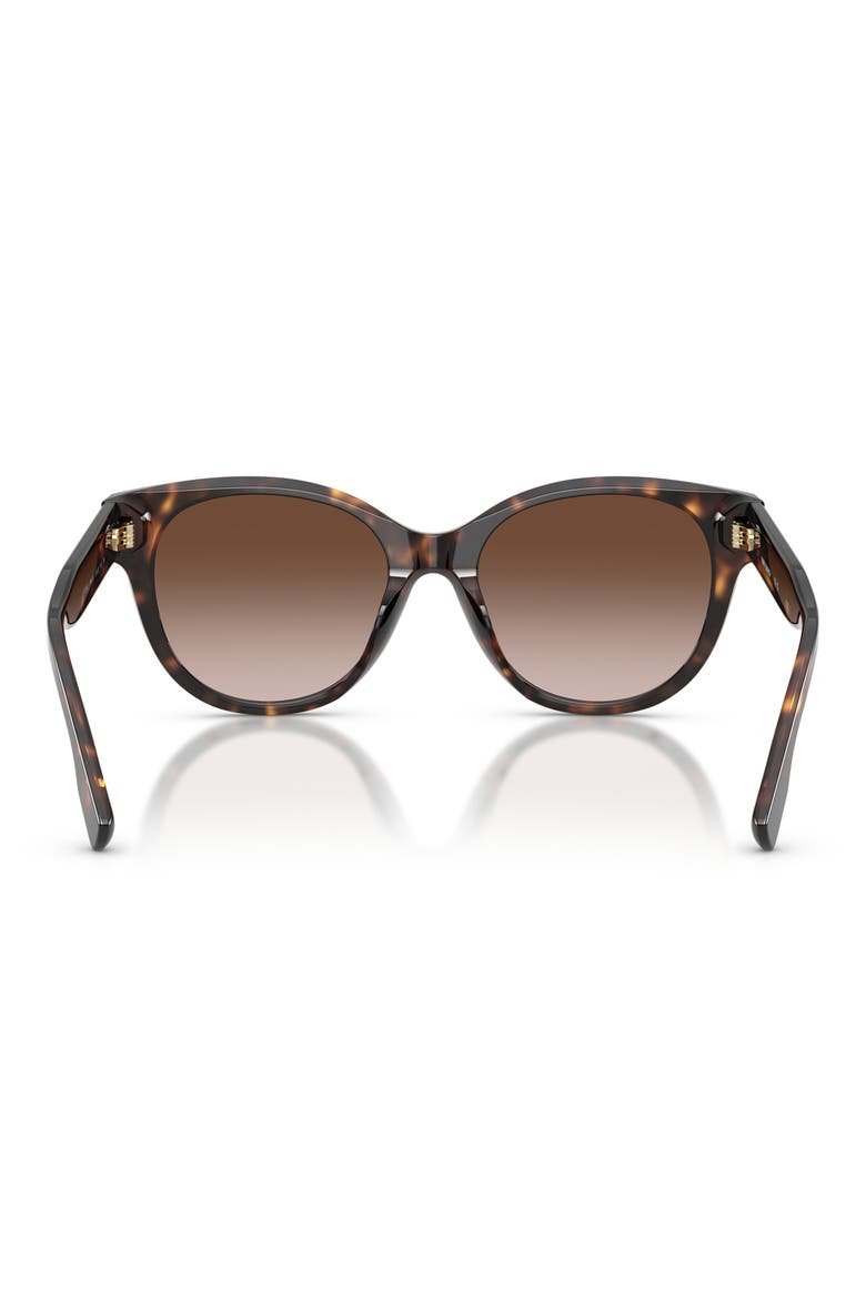 54mm Phantos Sunglasses, Alternate, color, DARK TORTOISE / DARK TORTOISE