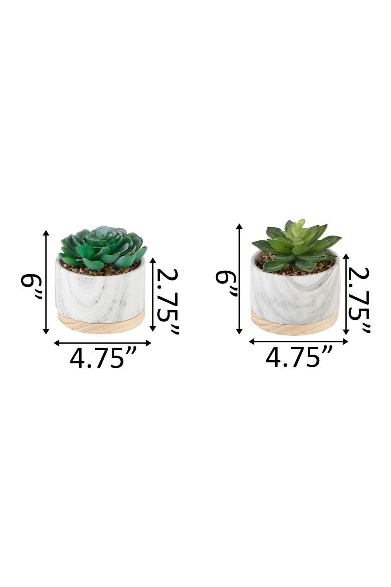 Marble Artificial Succulent - Set of 2, Alternate, color, WHITE