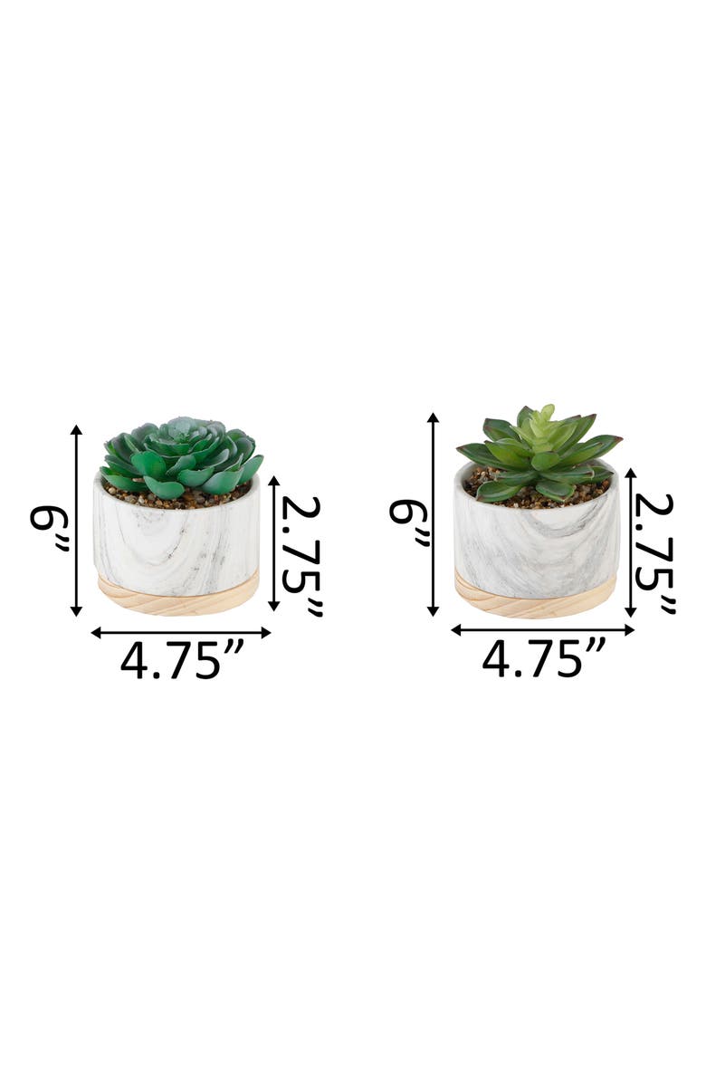 FLORA BUNDA Marble Artificial Succulent - Set of 2, Alternate, color, White