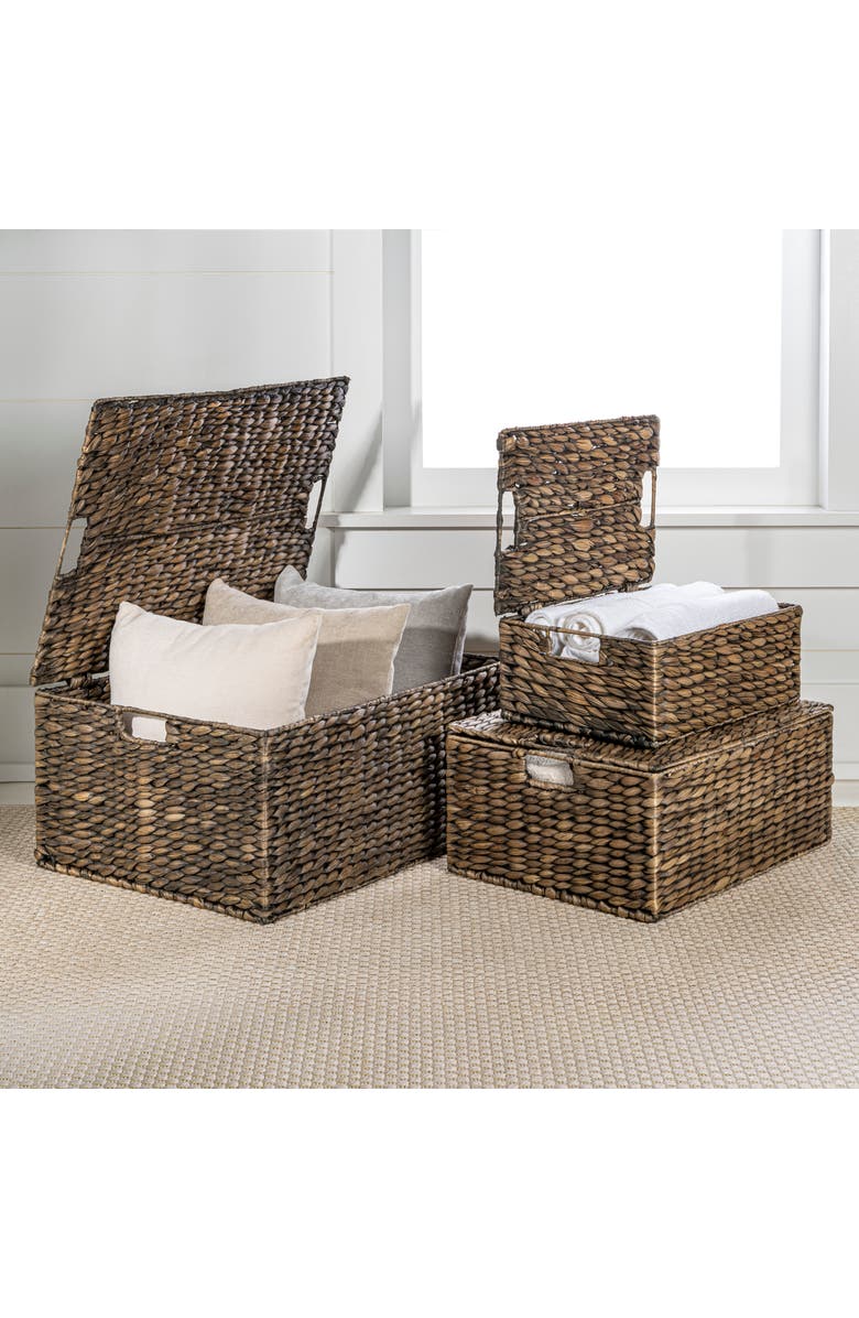 HAPPIMESS Brooks Classic Farmhouse Woven Hyacinth Rectangular Storage Baskets with Lids and Handles, Main, color, Brown