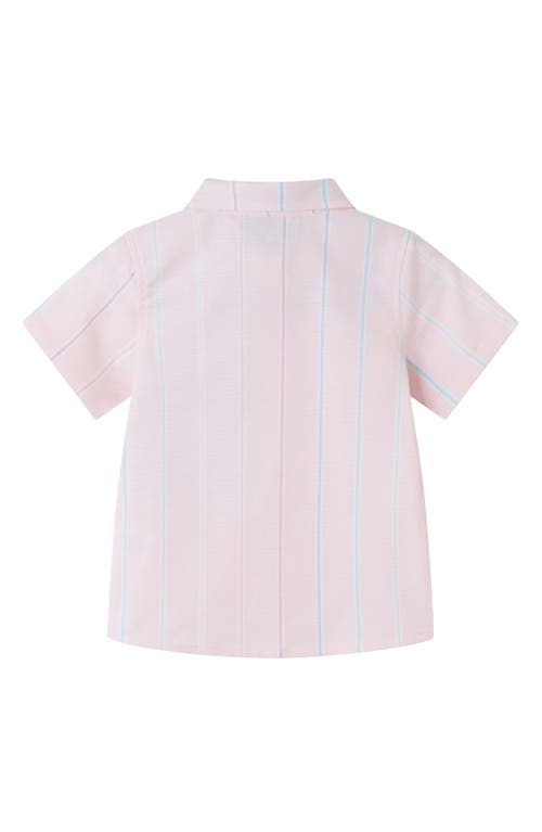 Andy & Evan Stripe Oxford Shirt, Shorts & Bowtie Set In Pink