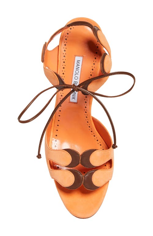 Manolo Blahnik Dalia Sandal In Orange