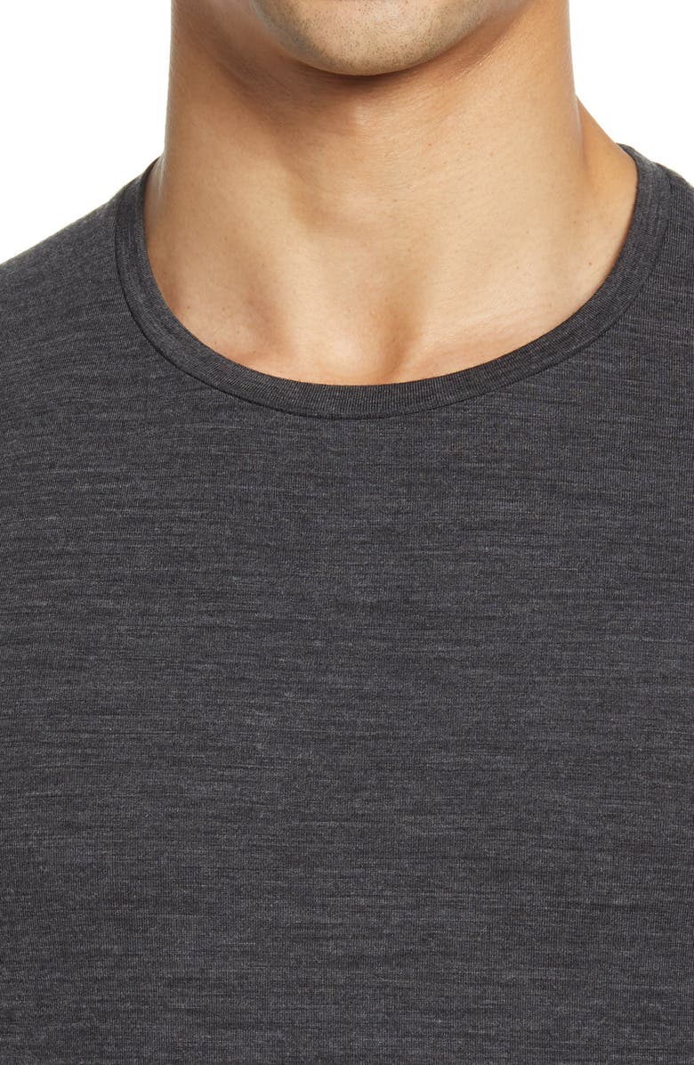 Icebreaker Anatomica Short Sleeve Crewneck T-Shirt, Alternate, color, 