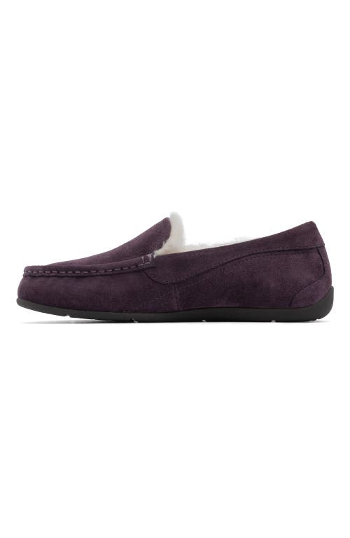 Abeo Amble Slipper In Dark Purple - Regular