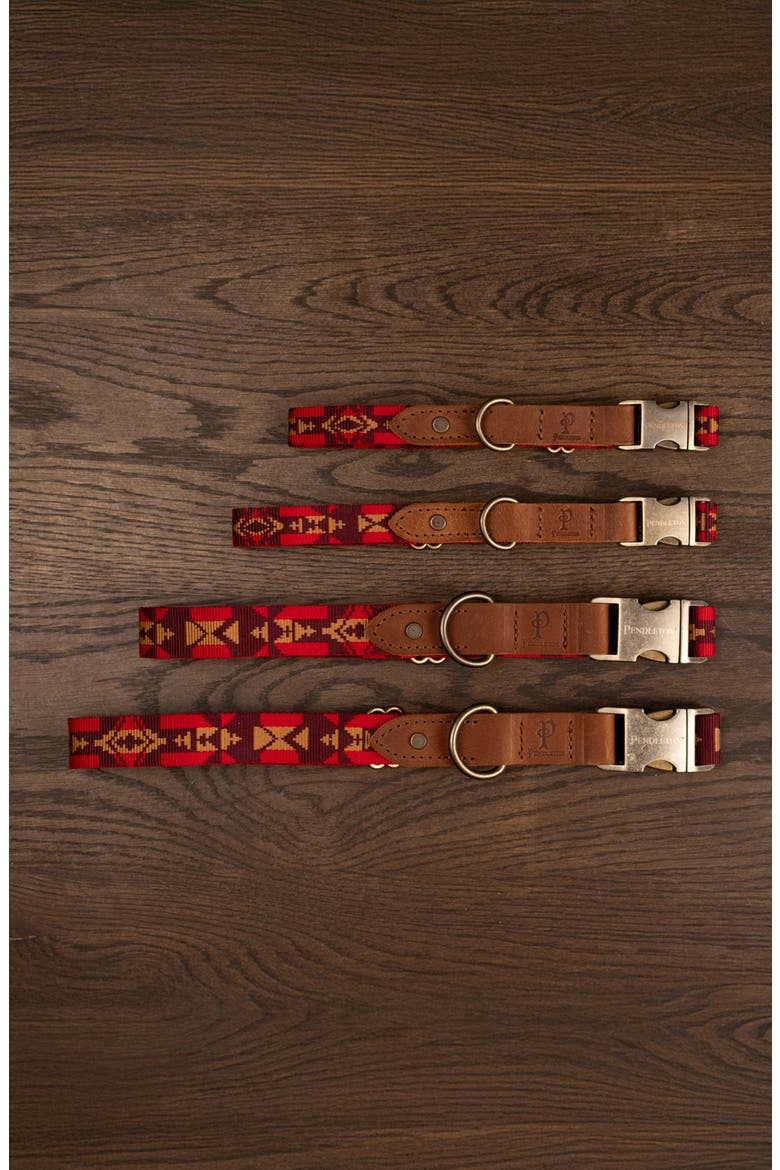 Heritage Dog Collar, Alternate, color, FOUR CORNERS