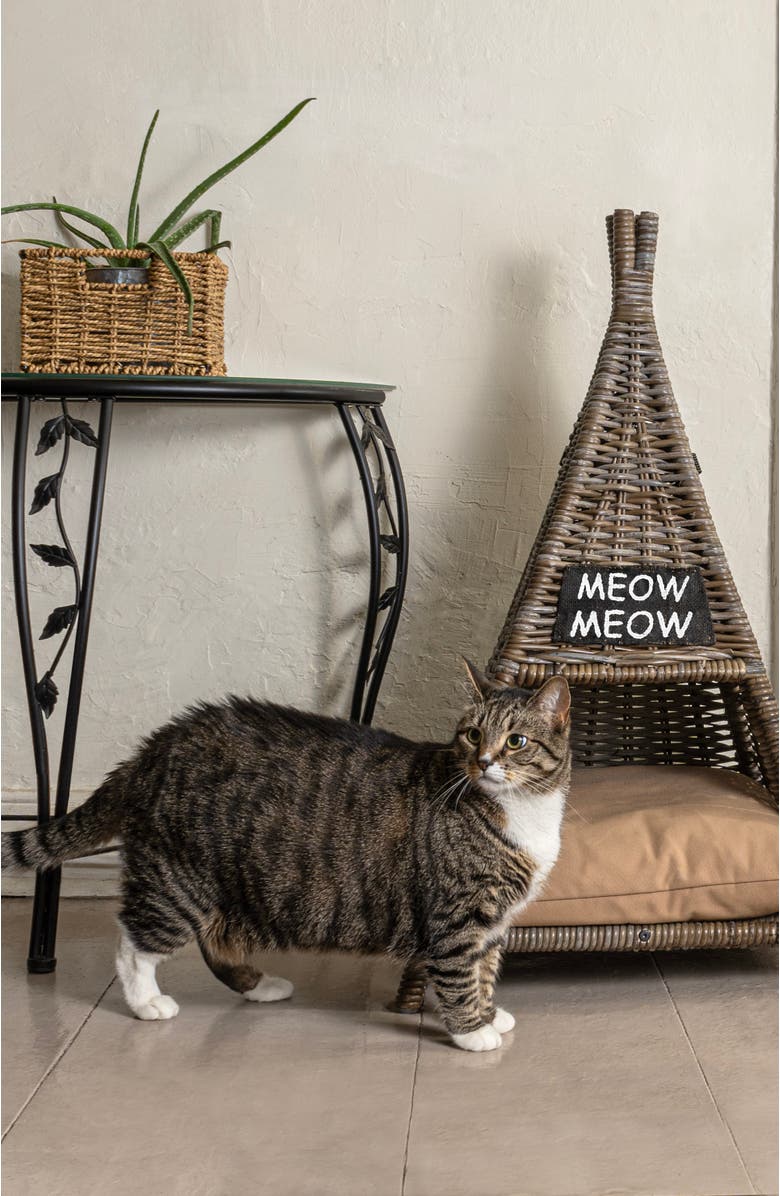 The Licker Store Tiki Tent 20" x 20" Coastal Handwoven Rattan Pet Bed with Machine-Washable Cushion, Alternate, color, Kubu Gray