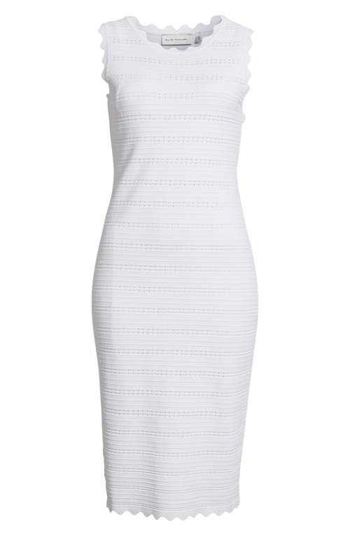 Elie Tahari The Alessandra Scalloped Pointelle Midi Dress In Sky White