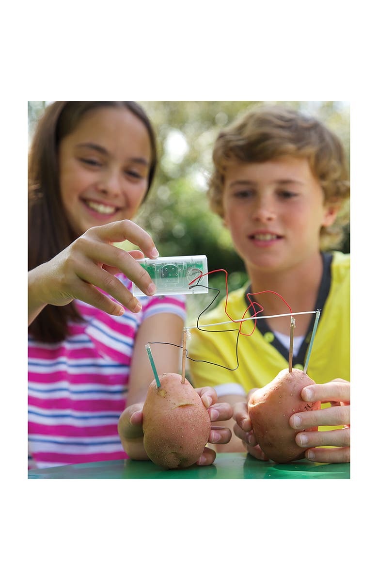 4M Green Science Potato Clock Diy Renewable Energy Kit, Power Digital Clock, Alternate, color, Multicolored