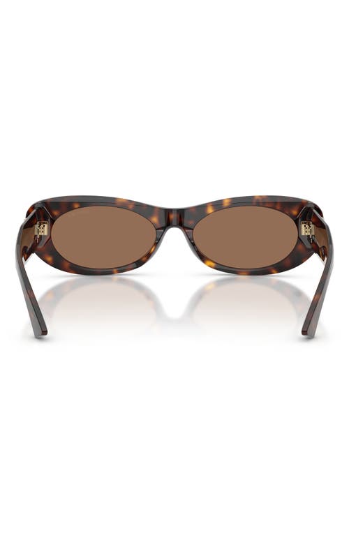 Jimmy Choo Jc 5038bu 500273 54mm Womens Oval Sunglasses In Brown