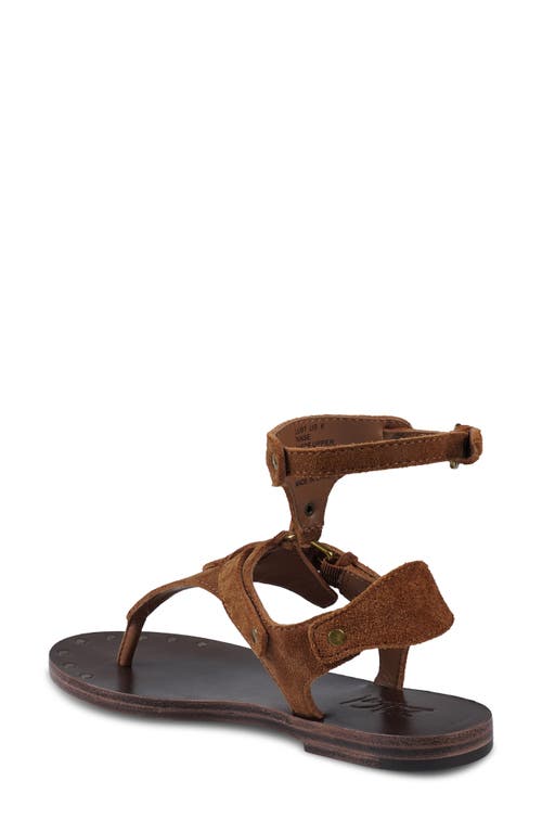 Zigi Lust Ankle Strap Sandal In Brown