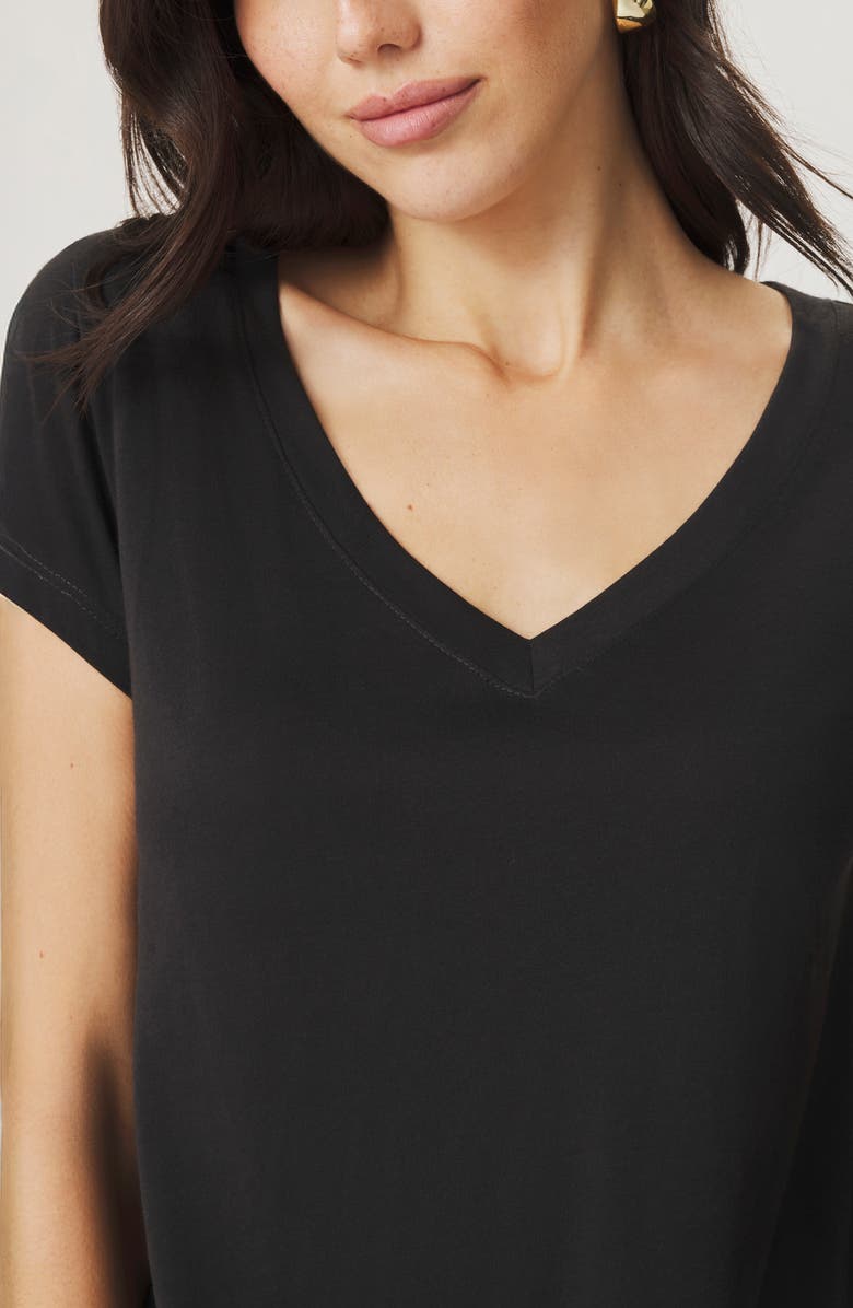 Splendid Lila Regen V-Neck Cotton T-Shirt, Alternate, color, Black