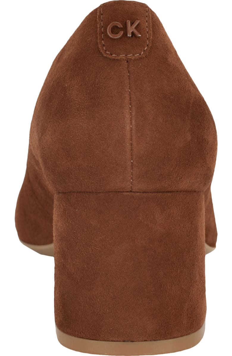 Calvin Klein Lenott Pointed Toe Pump, Alternate, color, Light Natural 111