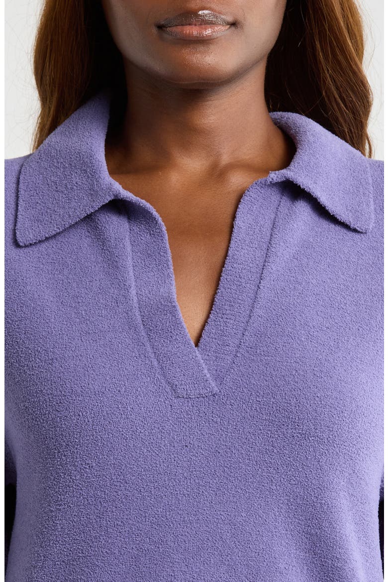 Keslyn Johnny Collar Knit Polo, Alternate, color, DUSTED IRIS