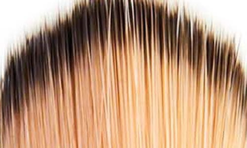 Trish Mcevoy Brush 200
