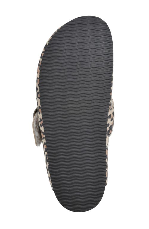 Cliffs By White Mountain Big Easy Buckle Mule In Multi