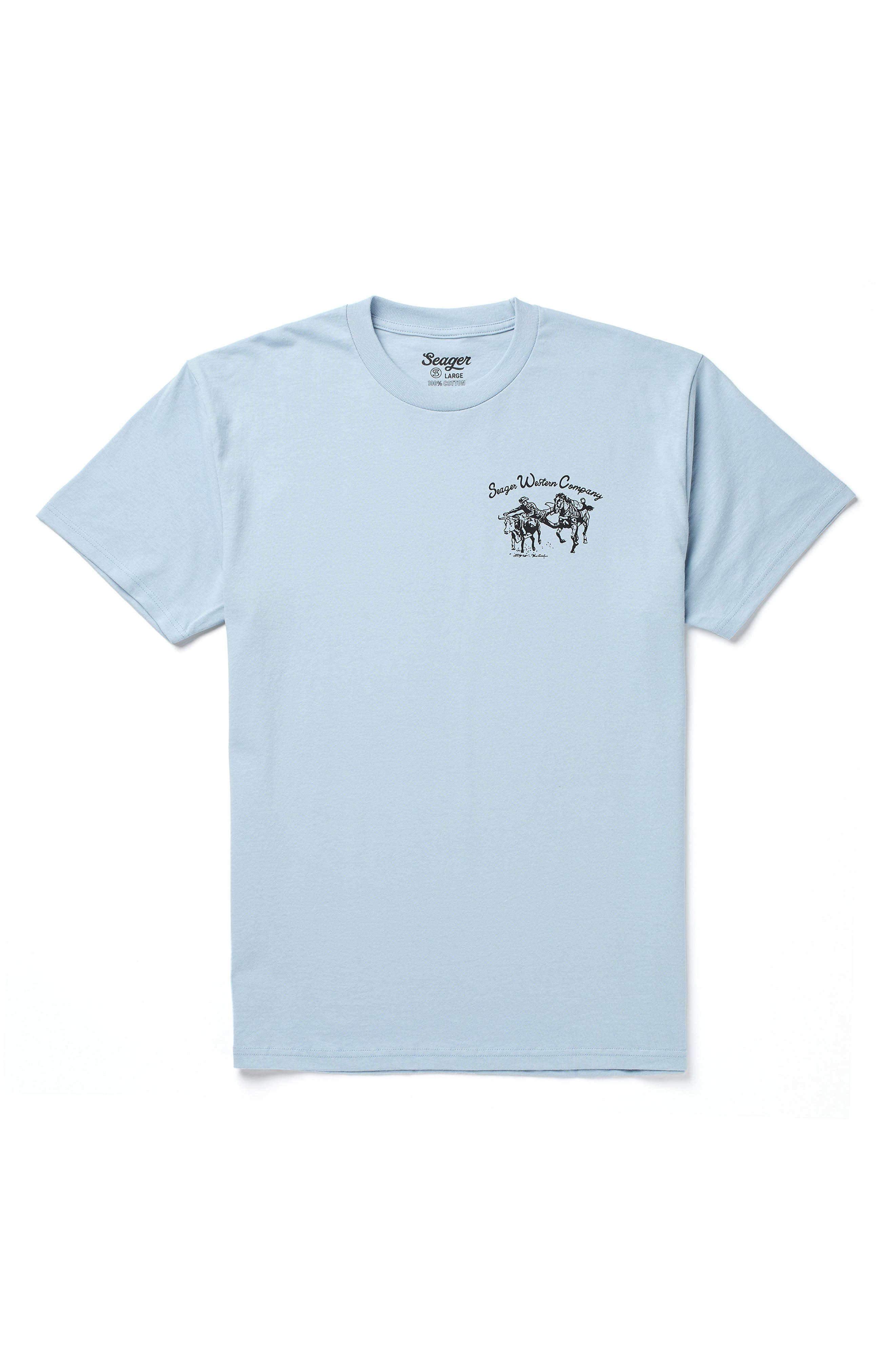 selected ARTIC BLUE