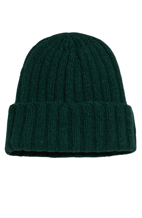Fortela Shetland Wool Beanie In Green