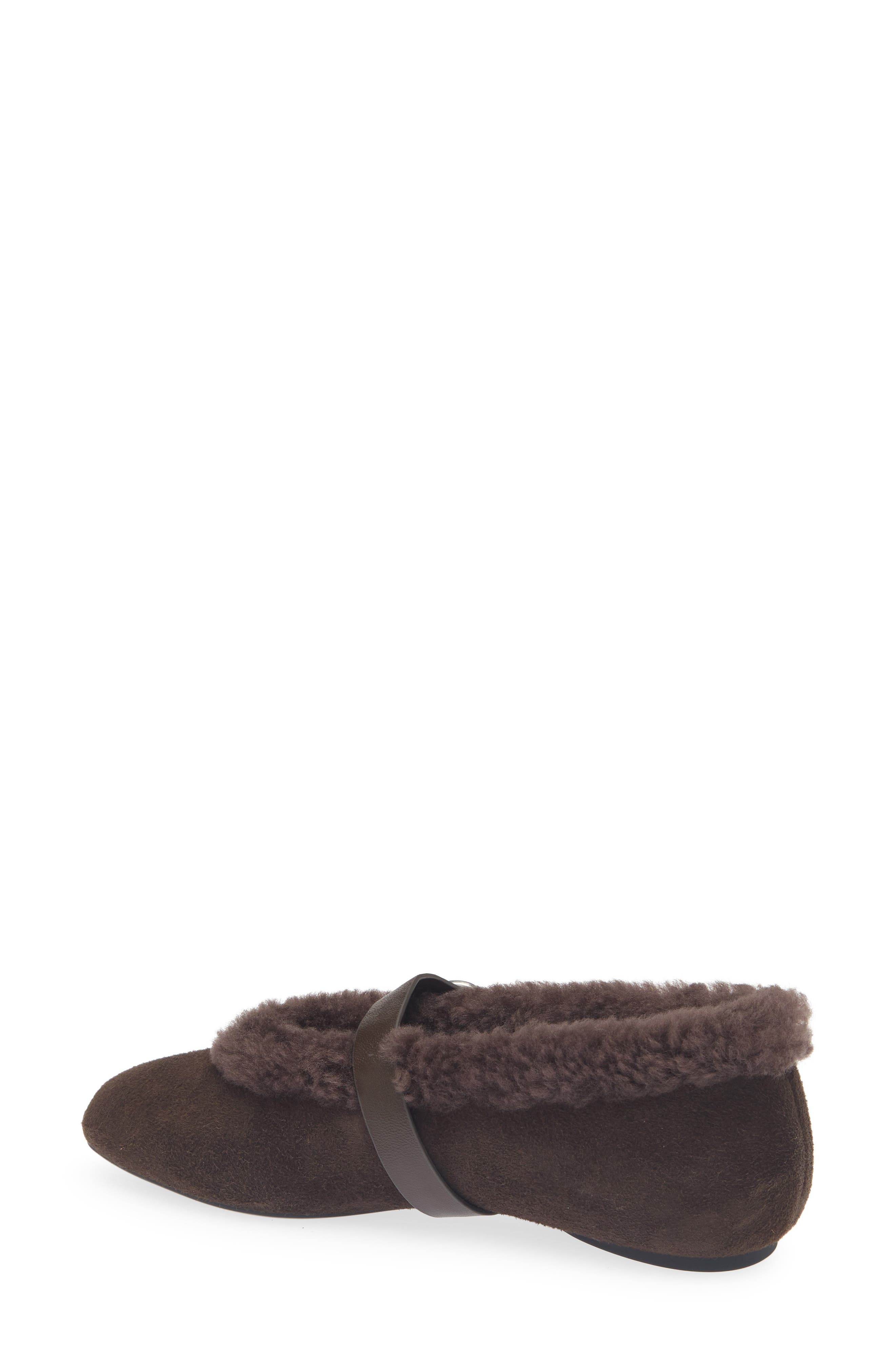 Spire Genuine Shearling Mary Jane Leather Flat, Alternate, color, DCCSD