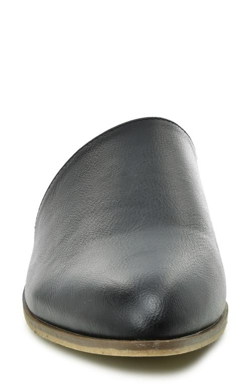 Catherine Catherine Malandrino Asymmetric Mule Flat In Black