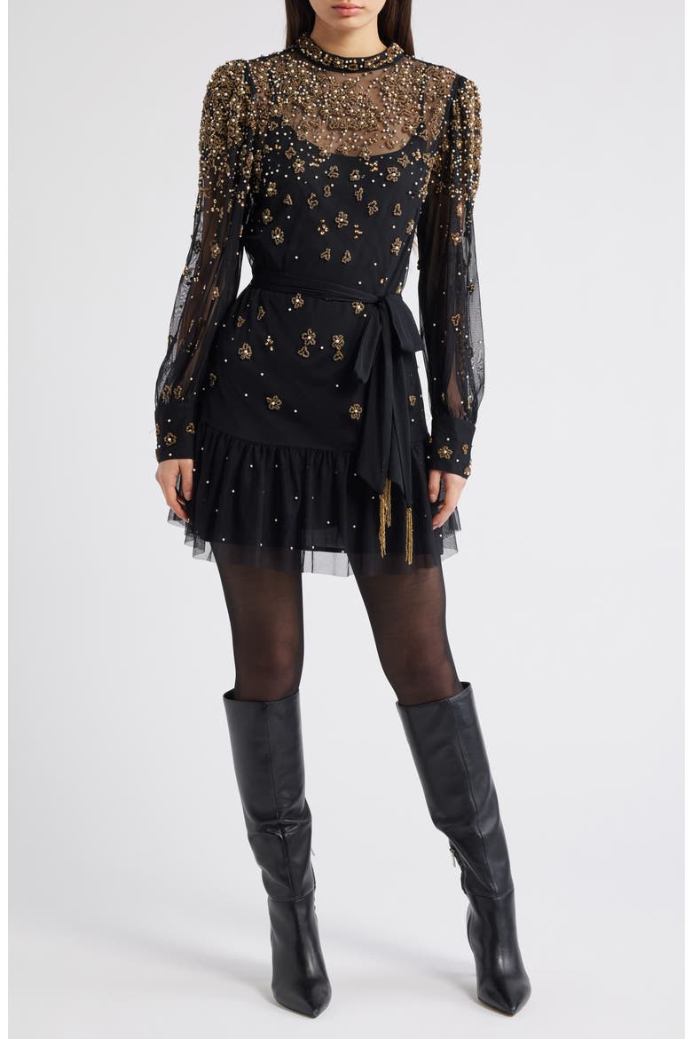 Embroidered Tulle Overlay Minidress, Main, color, BLACK