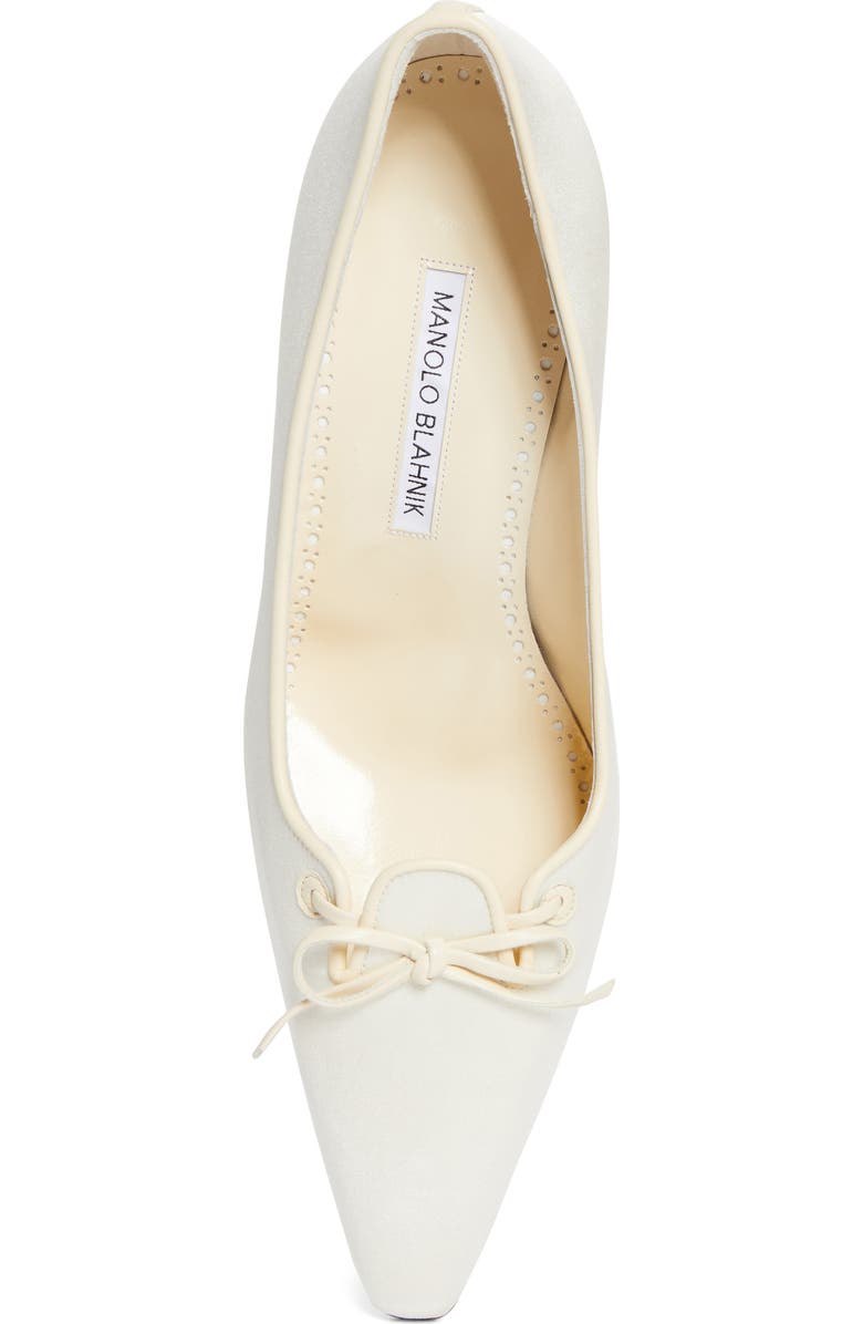 Manolo Blahnik Zaman Pointed Toe Pump, Alternate, color,