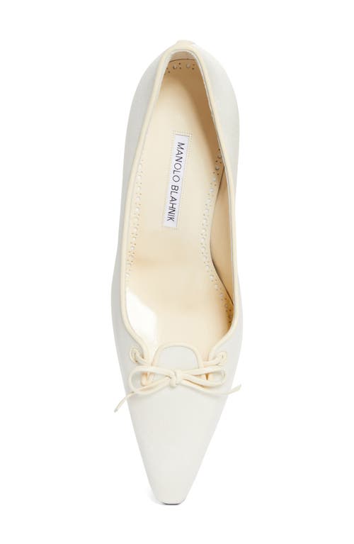MANOLO BLAHNIK MANOLO BLAHNIK ZAMAN POINTED TOE PUMP