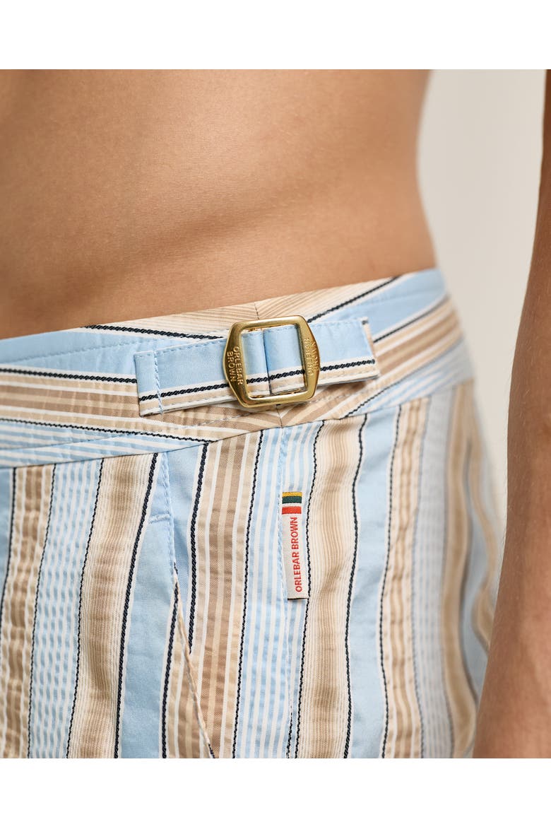 Bulldog Mid-Length Swim Shorts, Alternate, color, BLUE/BISCUIT STRIPE