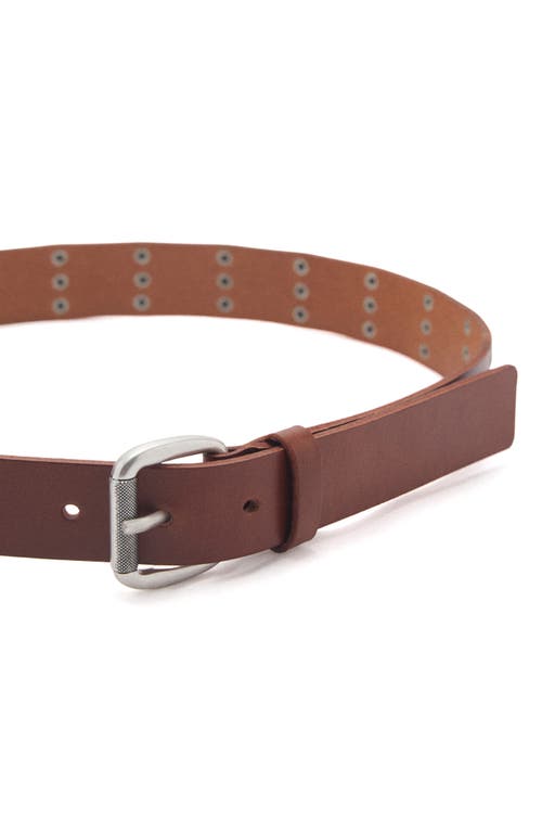 Mango Studded Leather Belt In Brown