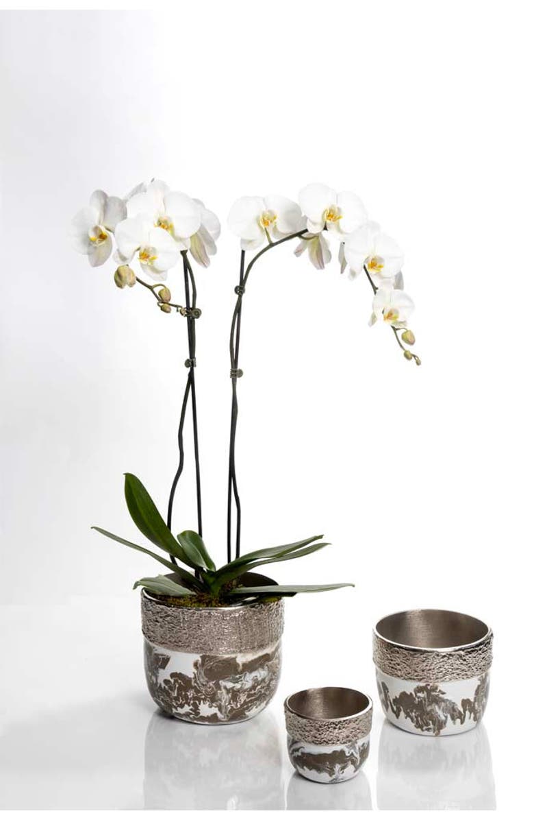 Lunares Dansbury Cache Pot, Alternate, color, Silver