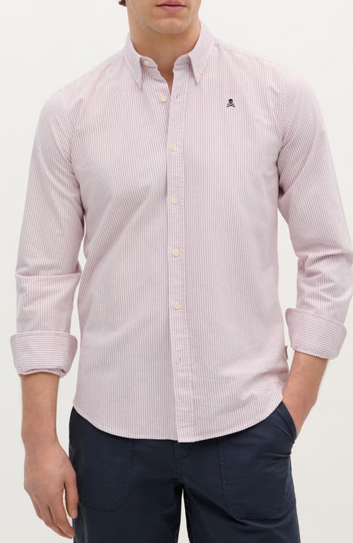 Scalpers New Oxford Bd Shirt In Pink