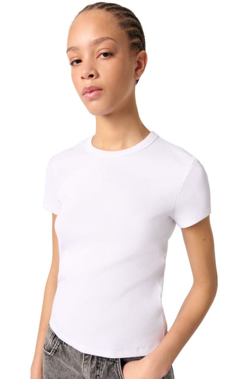Maje Cotton T-shirt In White