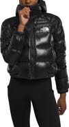 The North Face Hydrenalite Hooded Down Jacket