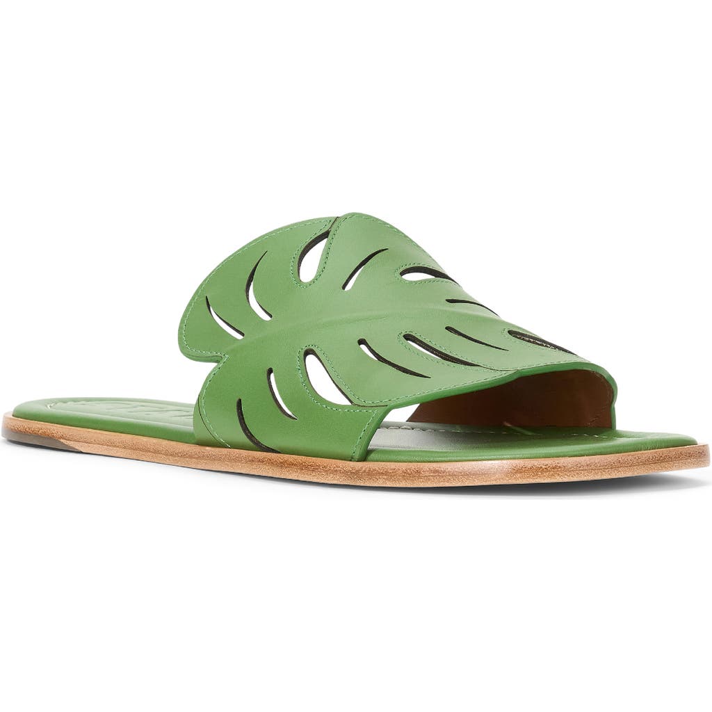 Staud Palm Slide Sandal In Leaf