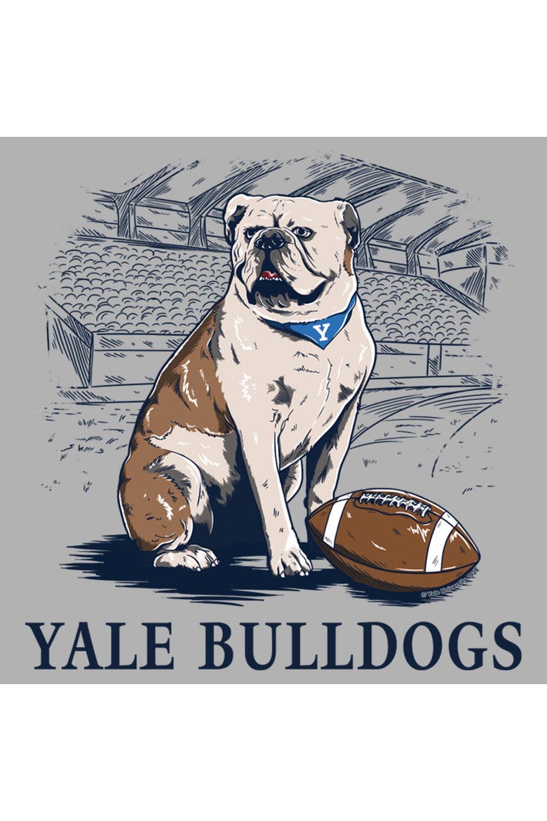 Boy's Yale University Handsome Dan Football  Graphic T-Shirt, Alternate, color, Sport Grey