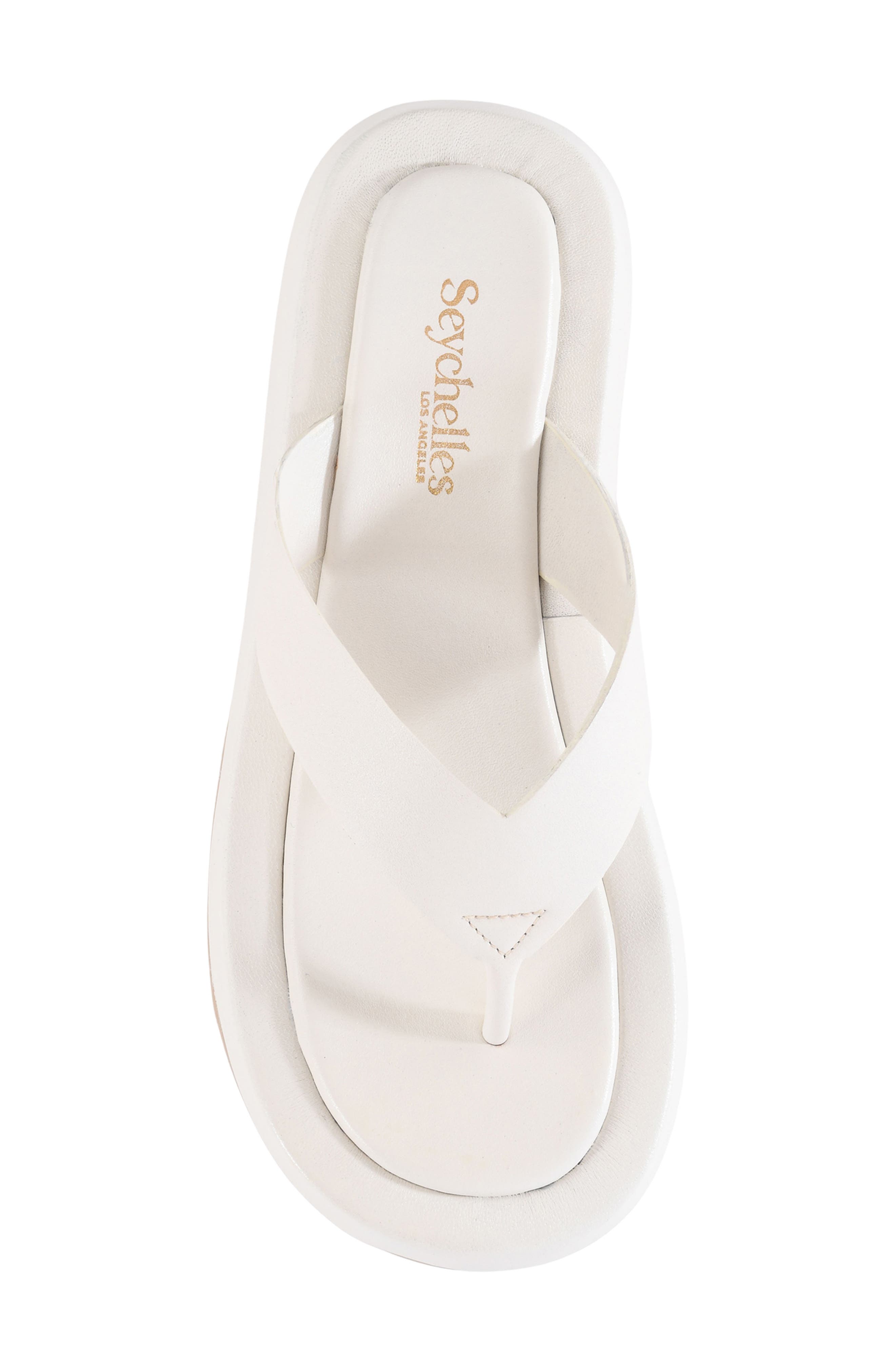 Seychelles Nautical Flip Flop Sandal, Alternate, color, Off White