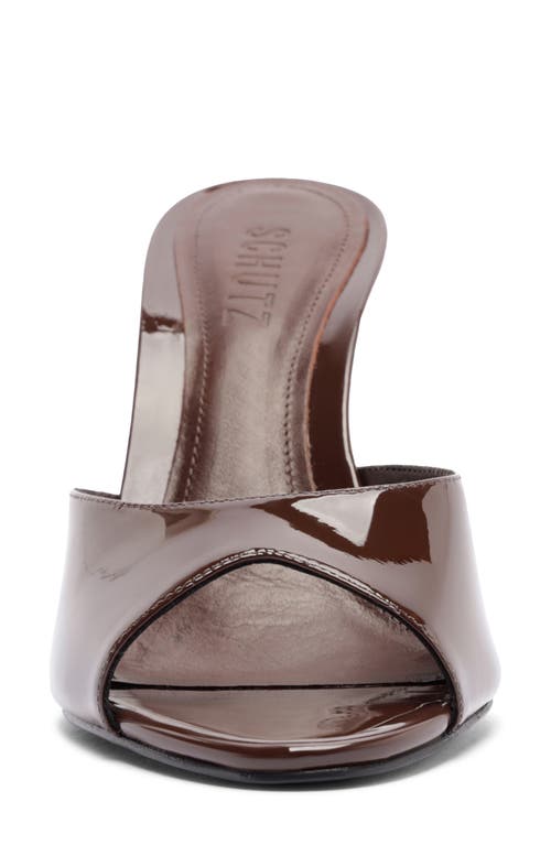 Schutz Cloe Slide Sandal In Brown