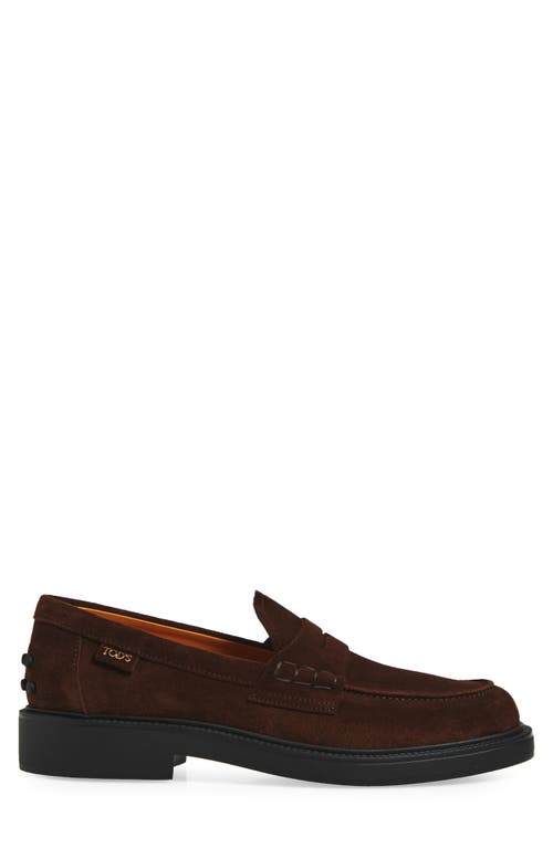Tod's Penny-loafer Aus Wildleder In Brown