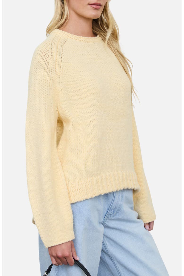 Raglan Rib Knit Sweater, Alternate, color, BUTTER YELLOW