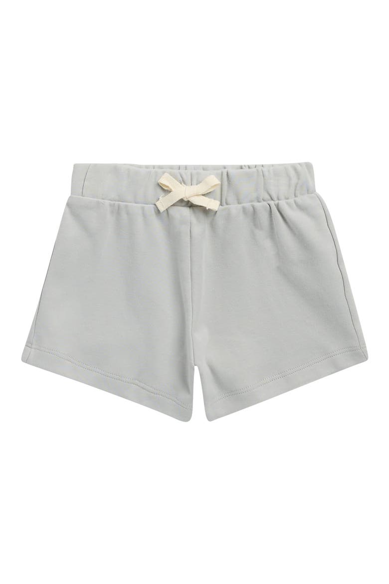 Play Organic Cotton Shorts, Main, color, SKY