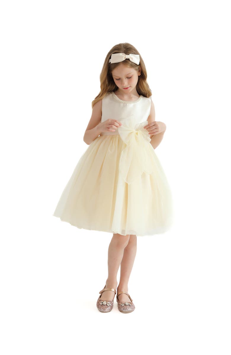 Tulleen Felice Dress, Alternate, color, Champagne