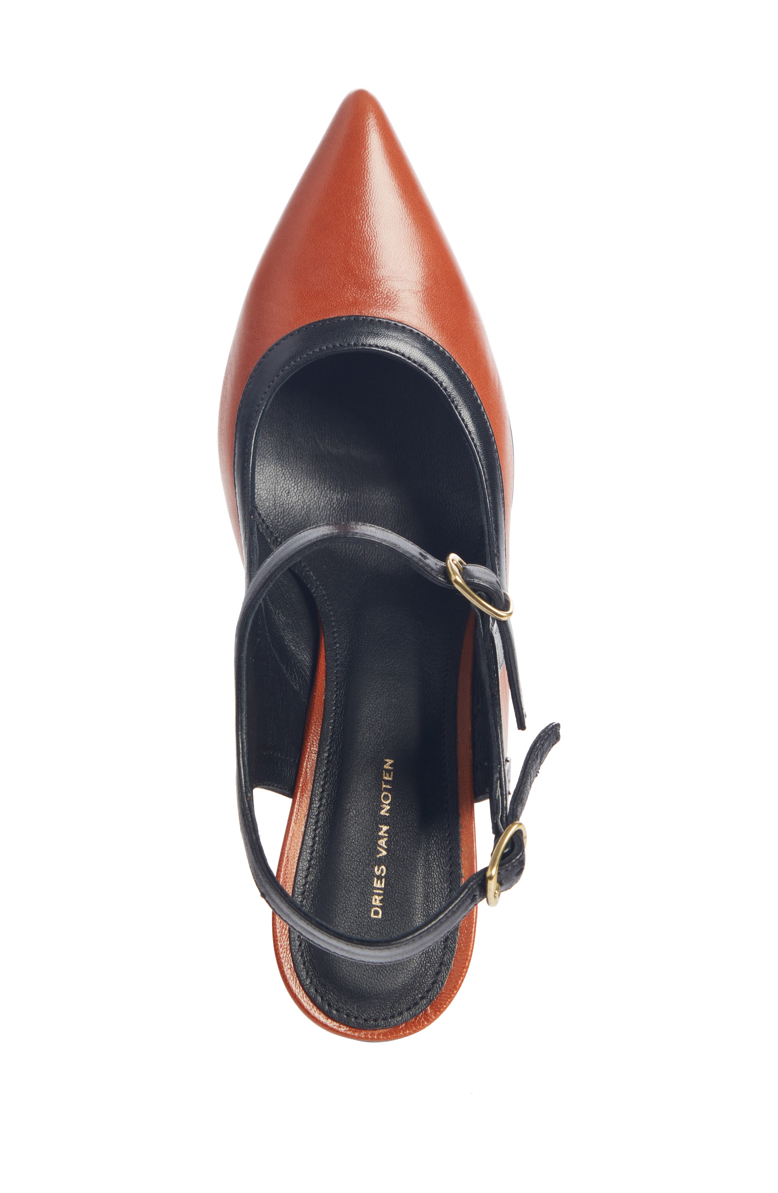 Dries Van Noten Pointed Toe Pump, Alternate, color, 