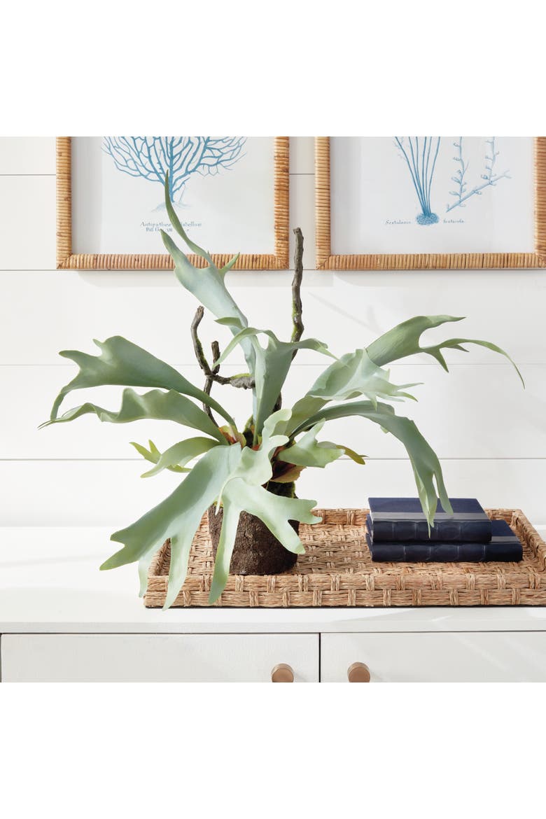 Staghorn Fern Drop-In 22", Alternate, color, Green