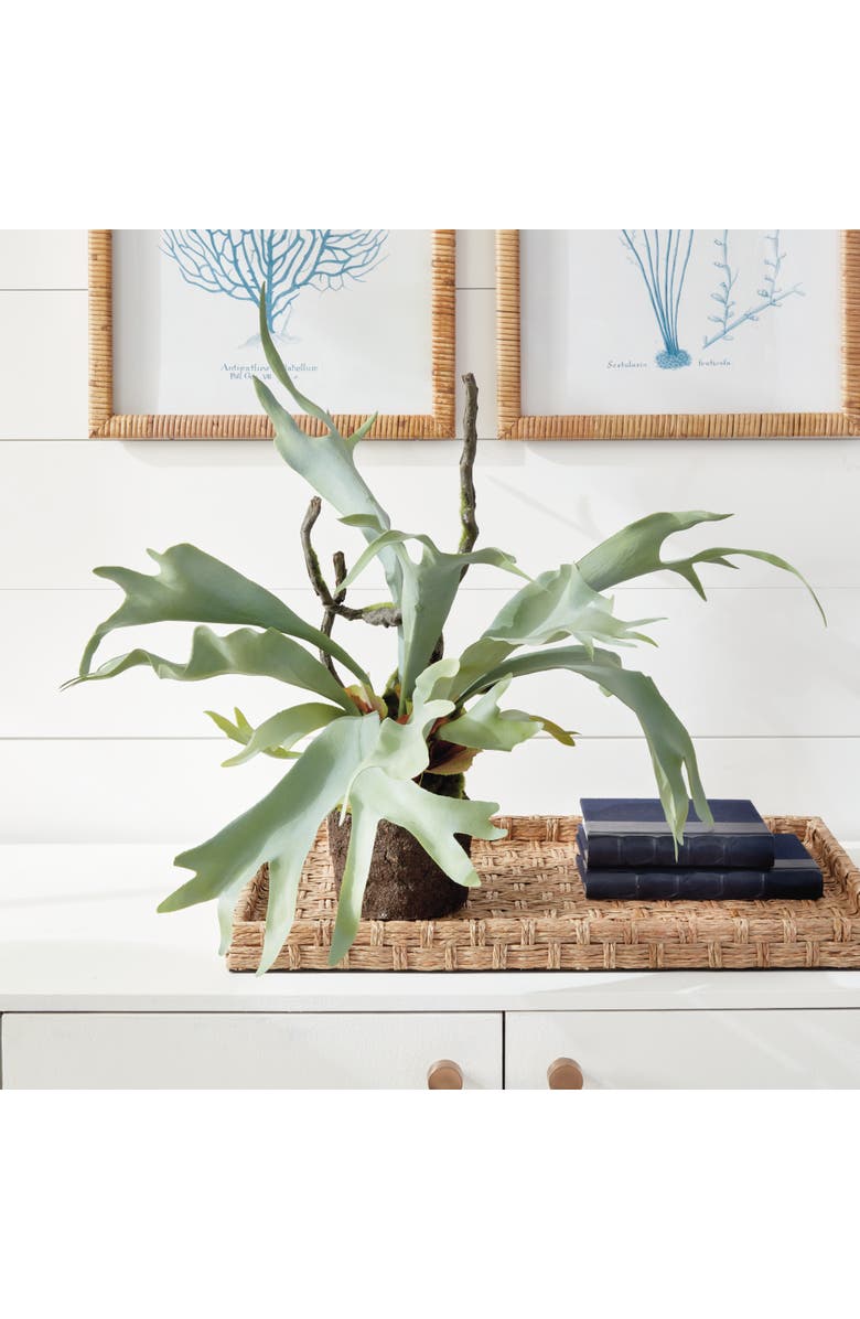 Napa Home & Garden Staghorn Fern Drop-In 22", Alternate, color, 